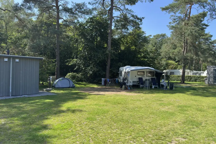 Camping Veluwe met privé sanitair Buizerd 6