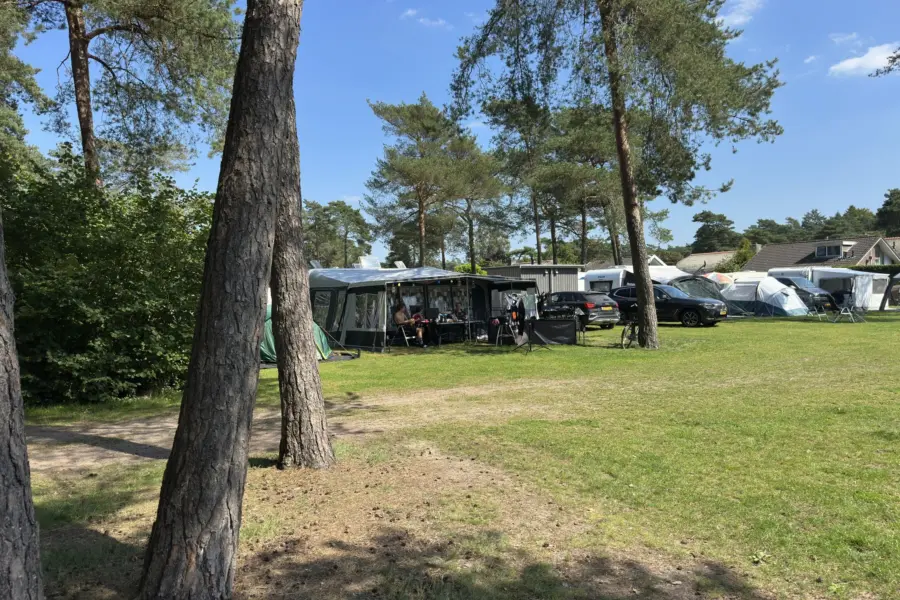 Camping Veluwe met privé sanitair Buizerd 16