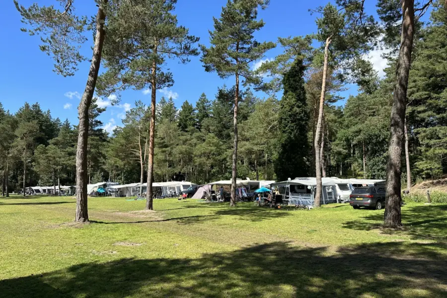 Camping Veluwe kamperen XXL Ekster 3