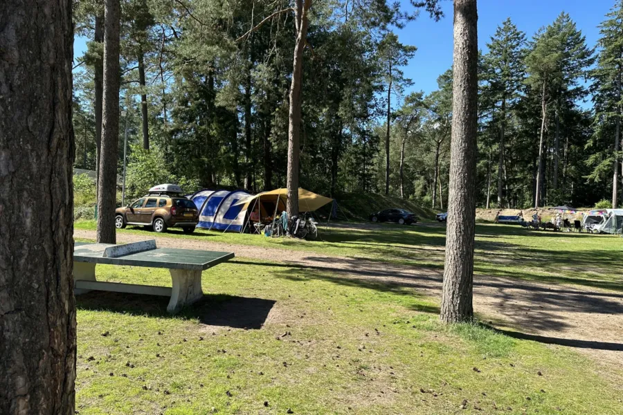 Camping Veluwe kampeerplaats Landhuisje 11